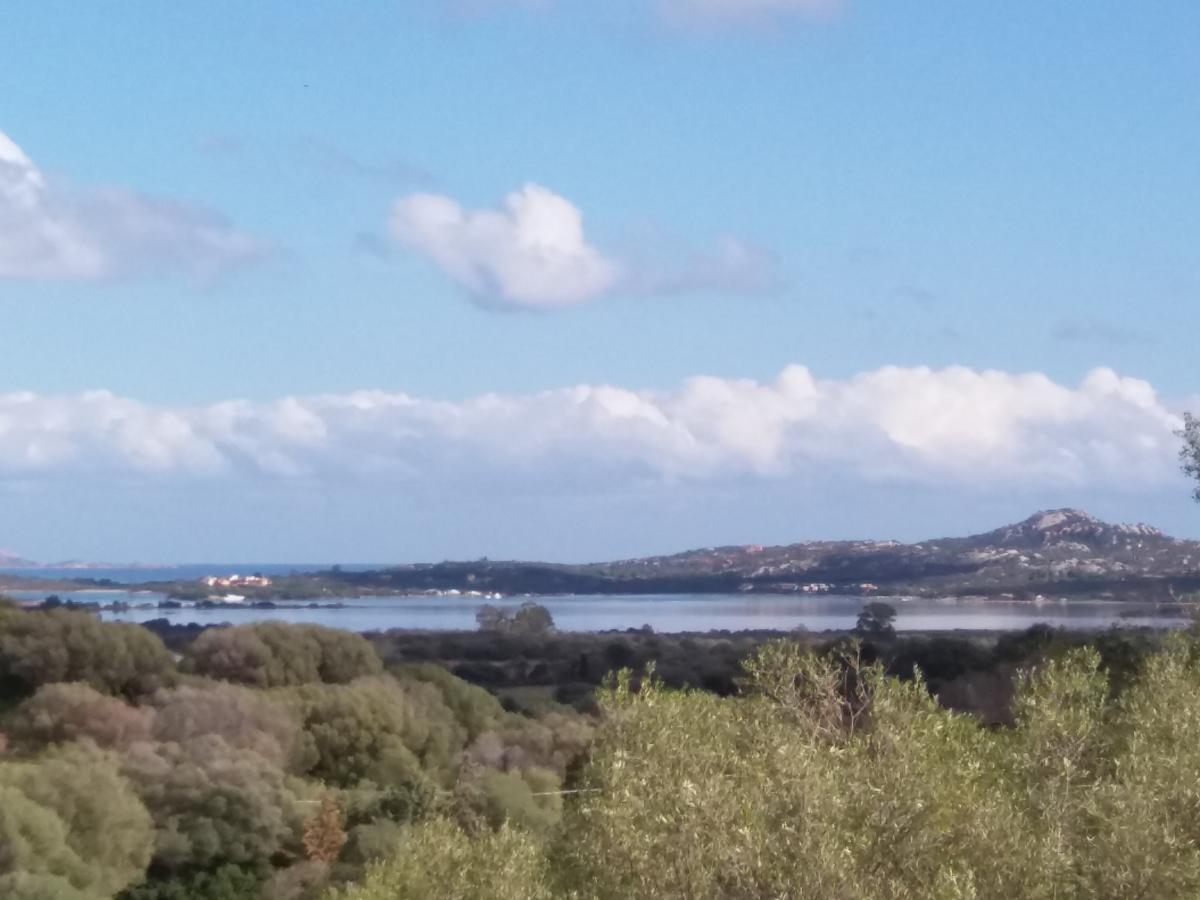Agriturismo Sa Mendhula Cugnana Exteriér fotografie