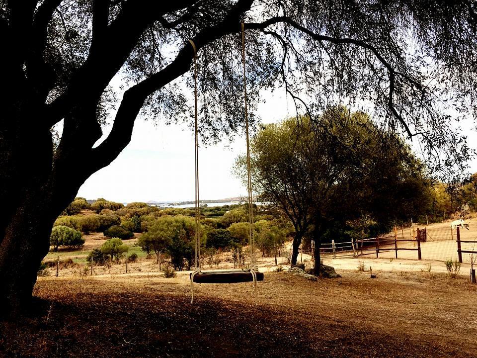 Agriturismo Sa Mendhula Cugnana Exteriér fotografie